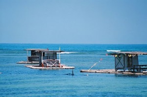 matabungkai-beach-floating-cottage